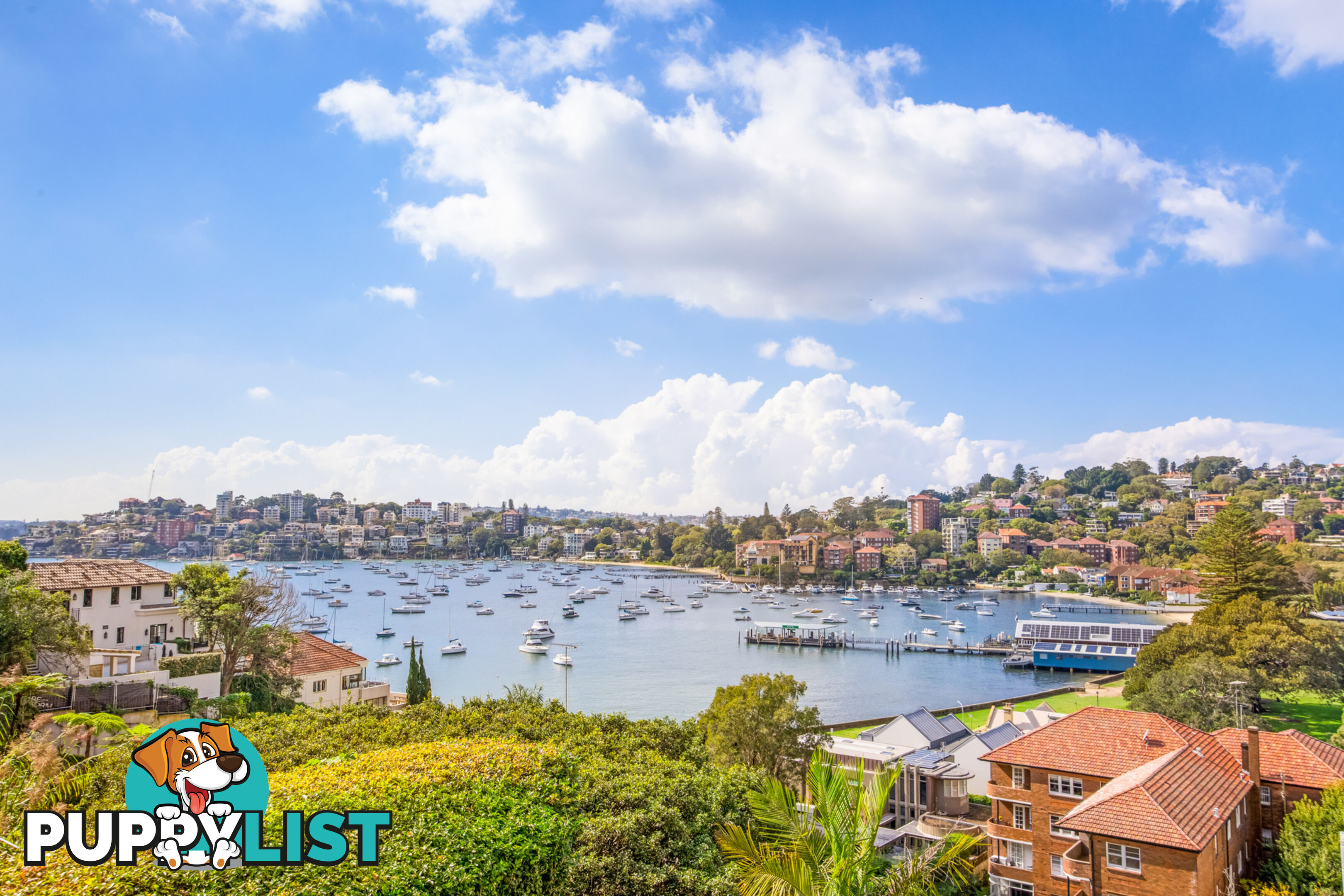 13B Eastbourne Road DARLING POINT NSW 2027