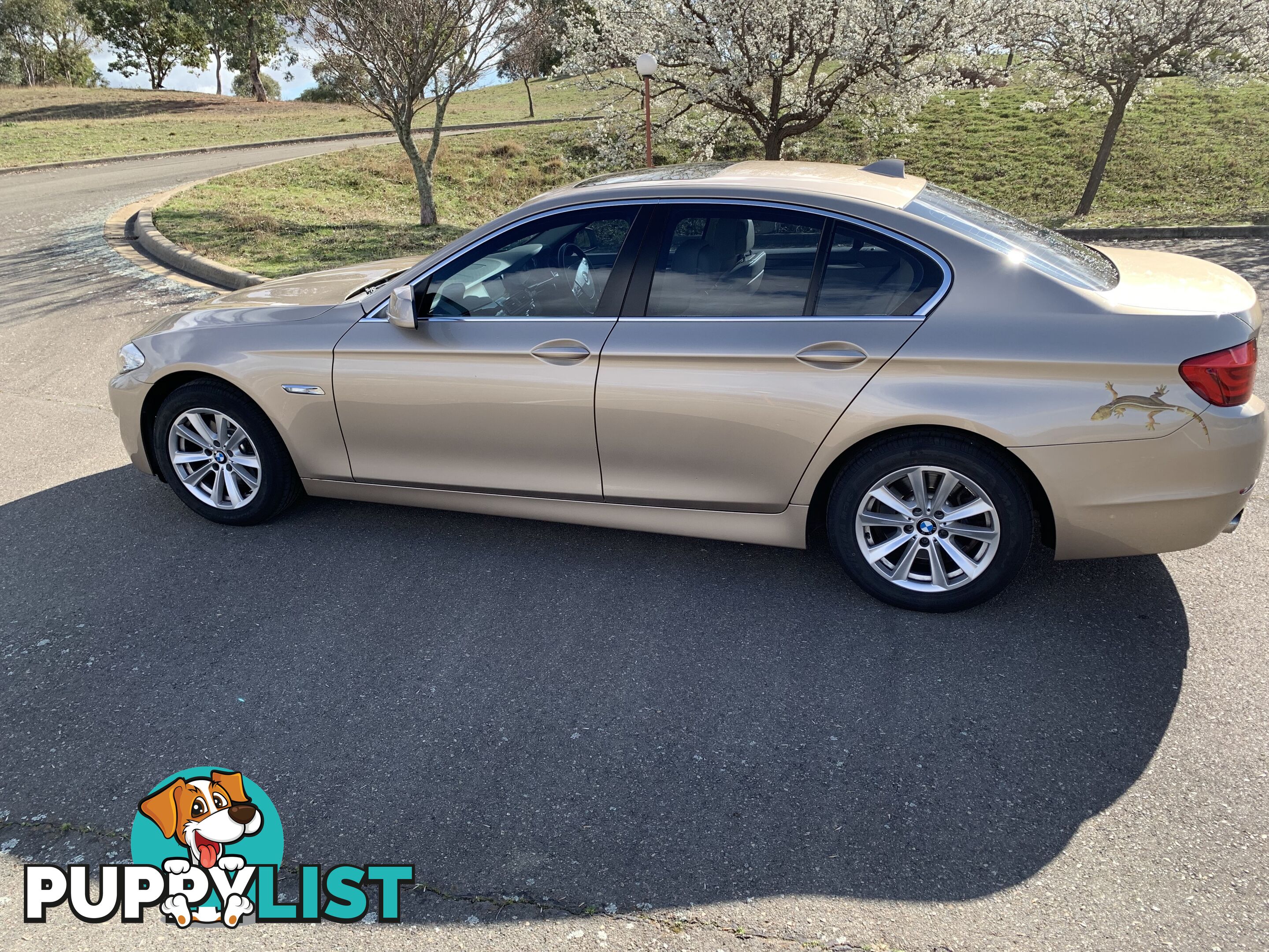 2011 BMW 5 Series F10 MY11 520D Sedan Automatic