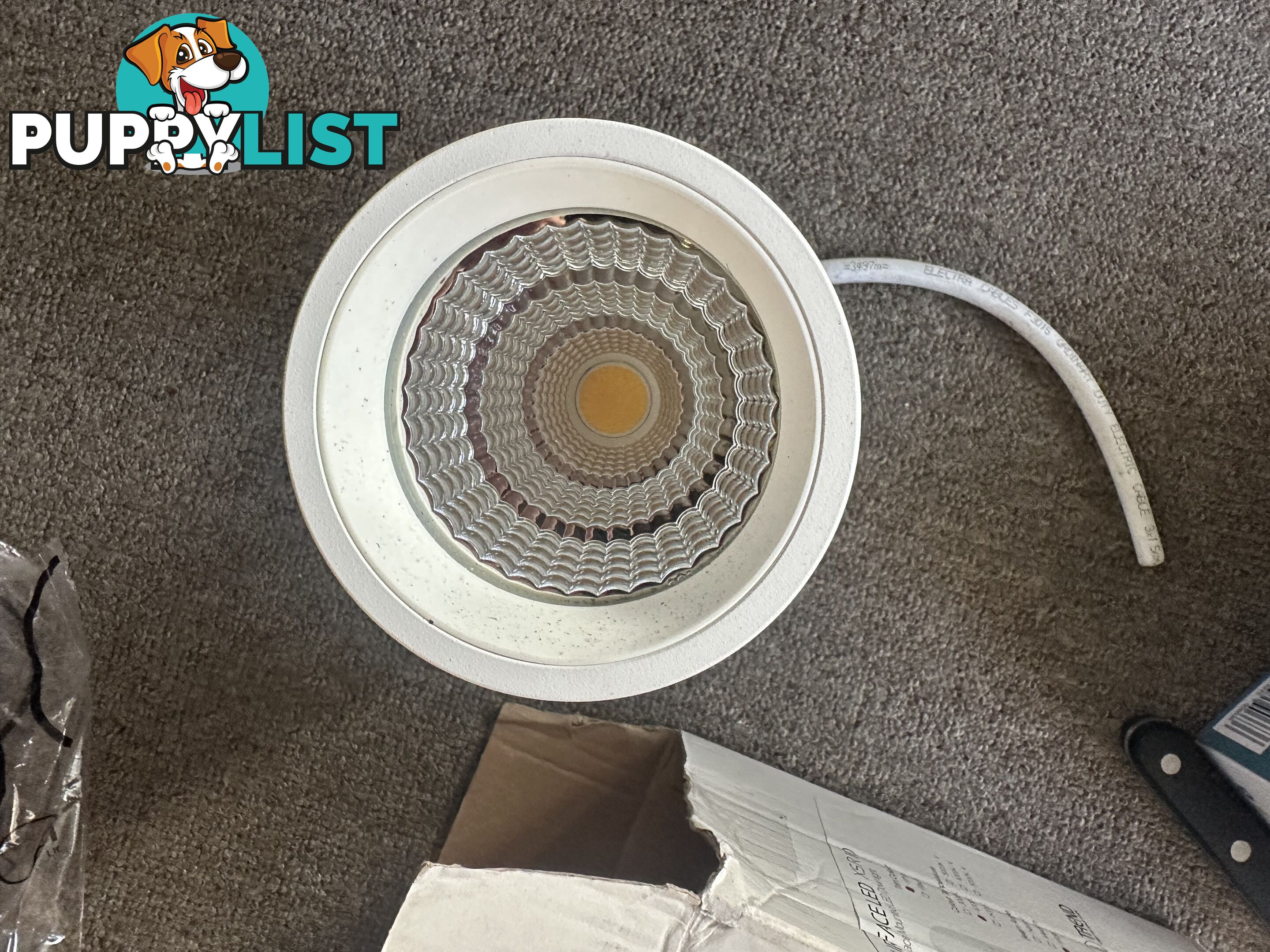 Trend light by solid state