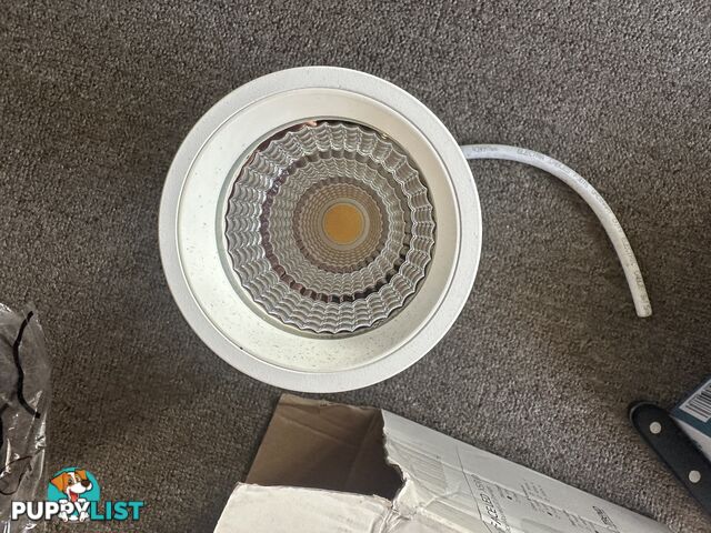 Trend light by solid state