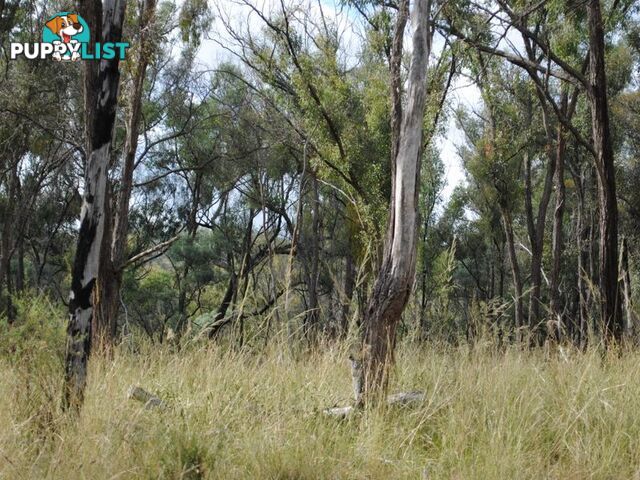 Lot 5 New England Highway WARWICK QLD 4370