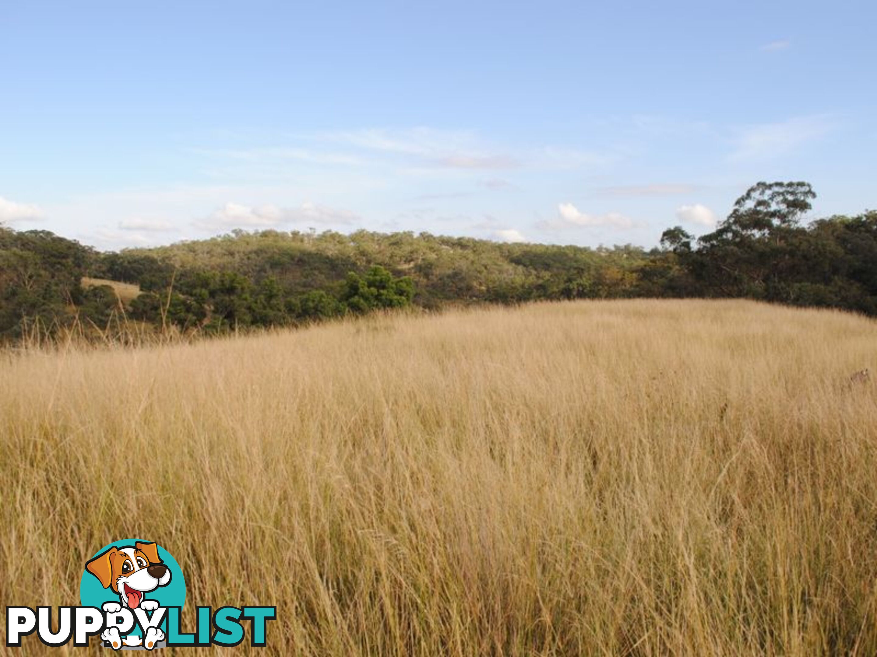 Lot 5 New England Highway WARWICK QLD 4370