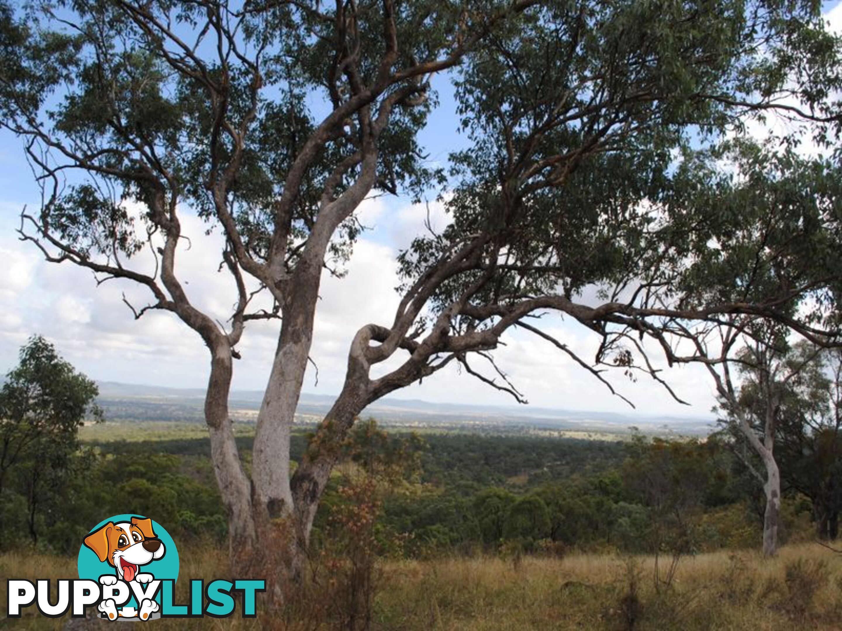 Lot 5 New England Highway WARWICK QLD 4370