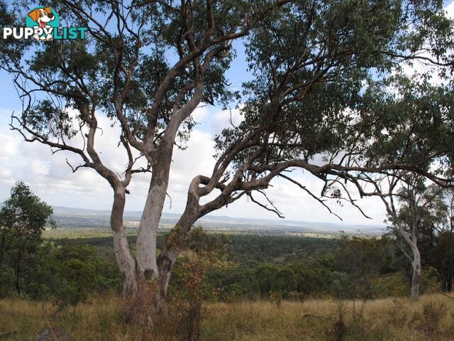 Lot 5 New England Highway WARWICK QLD 4370