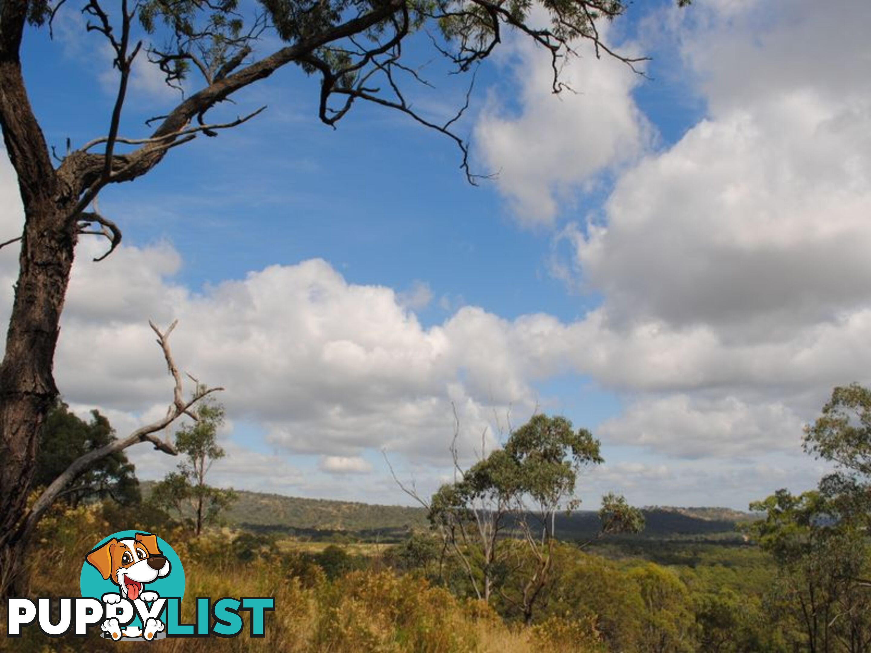 Lot 5 New England Highway WARWICK QLD 4370