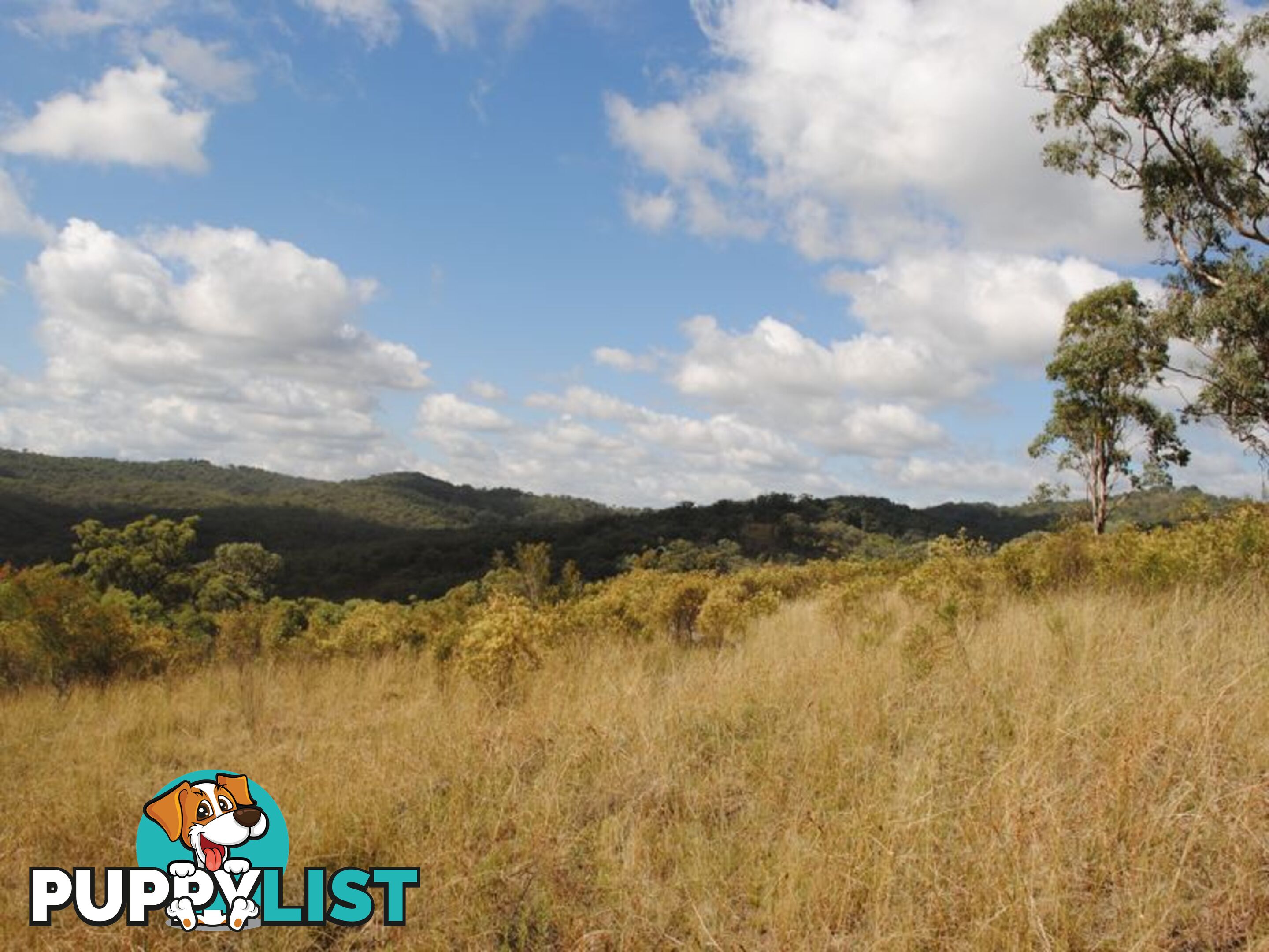 Lot 5 New England Highway WARWICK QLD 4370