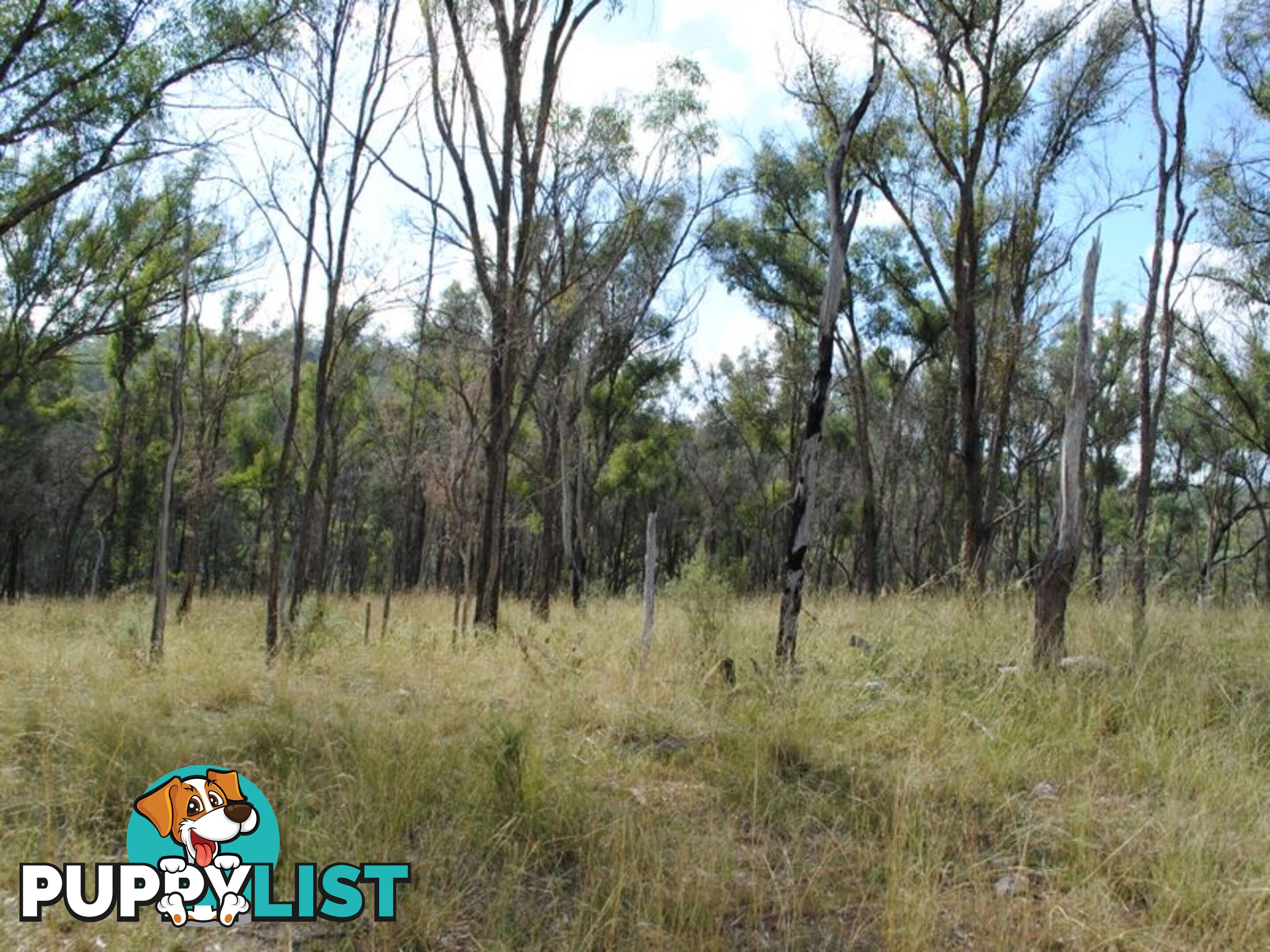 Lot 5 New England Highway WARWICK QLD 4370