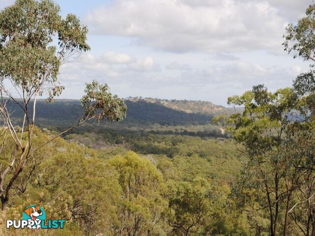 Lot 5 New England Highway WARWICK QLD 4370