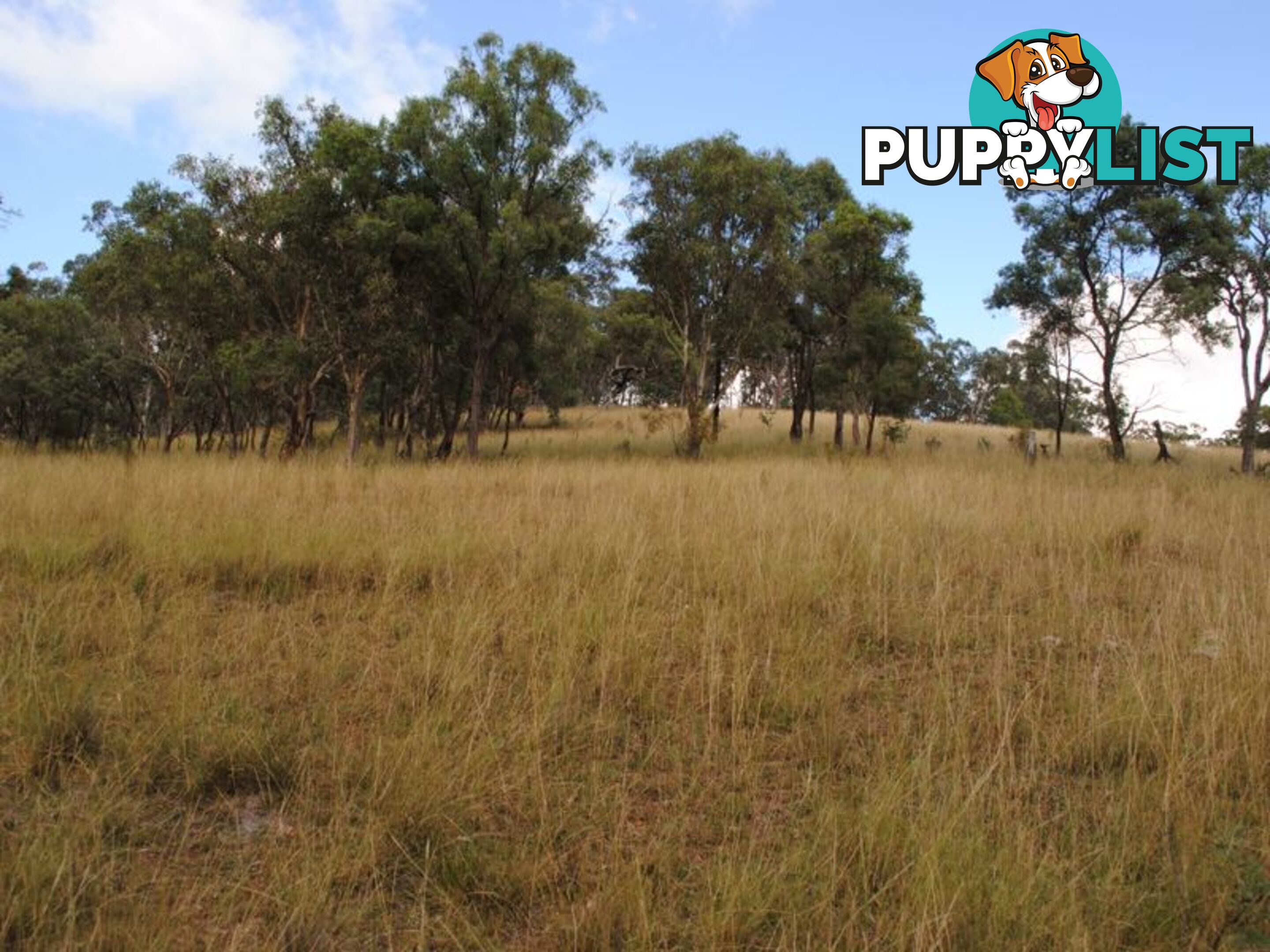 Lot 5 New England Highway WARWICK QLD 4370