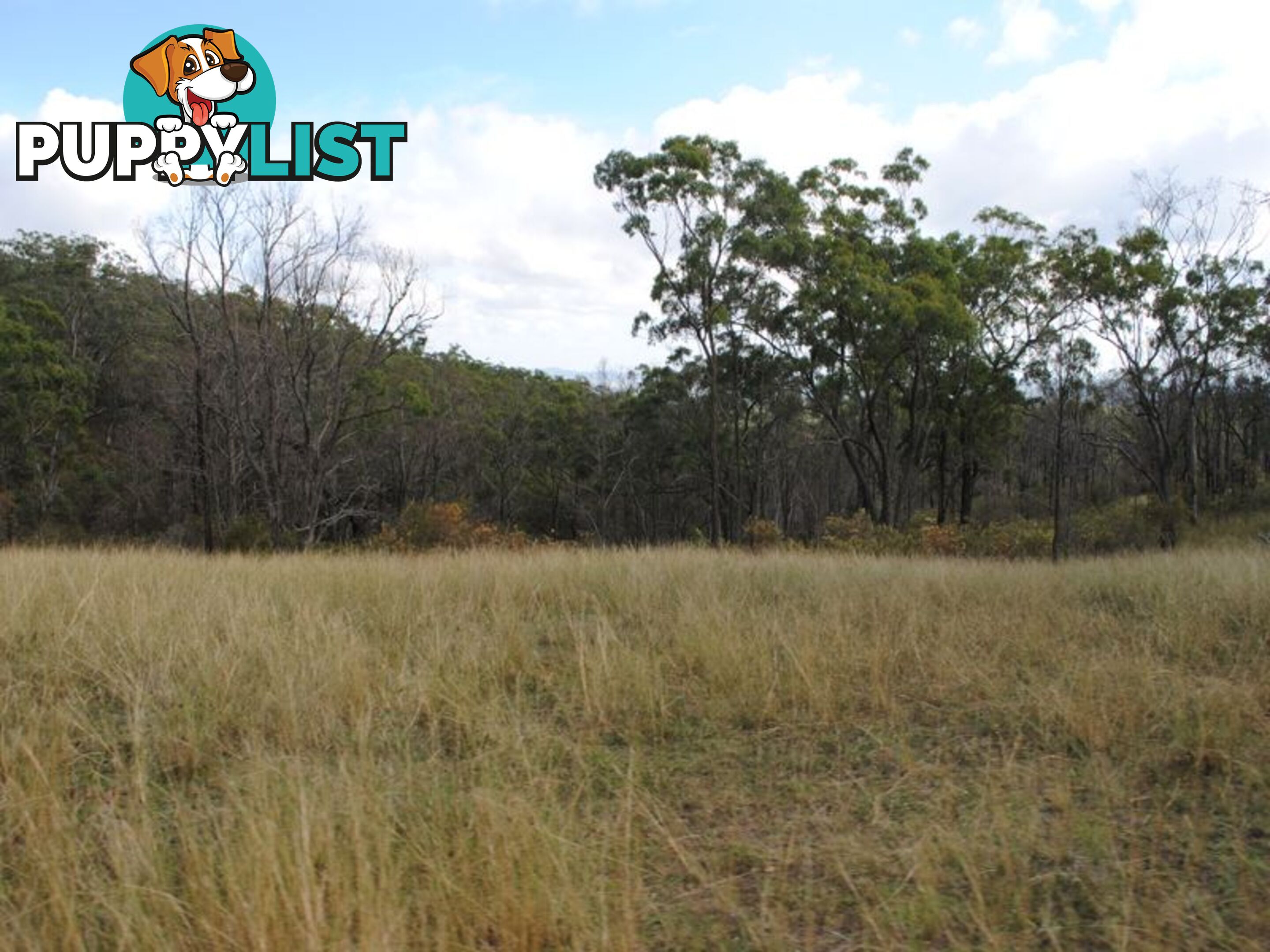 Lot 5 New England Highway WARWICK QLD 4370