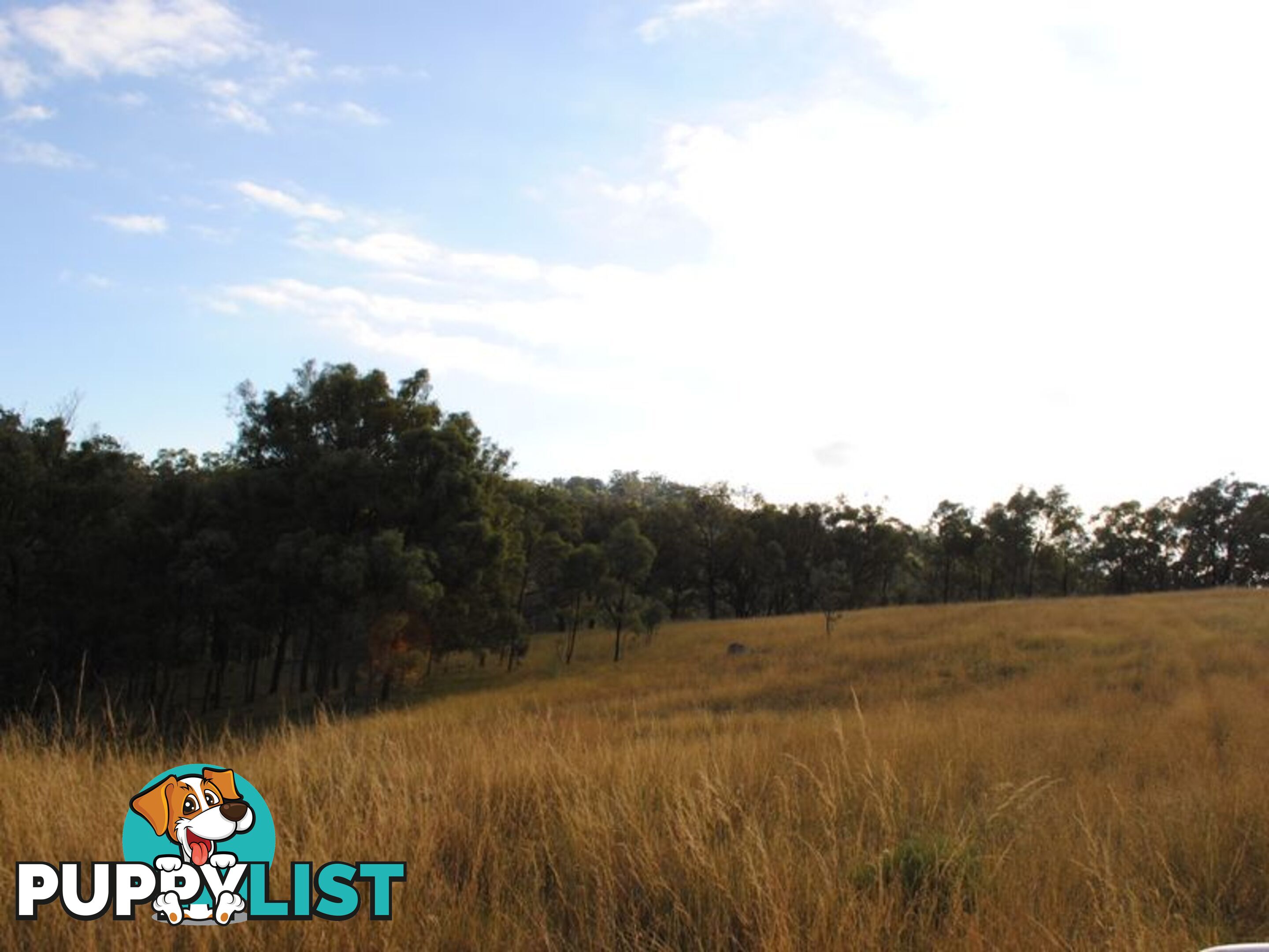 Lot 5 New England Highway WARWICK QLD 4370