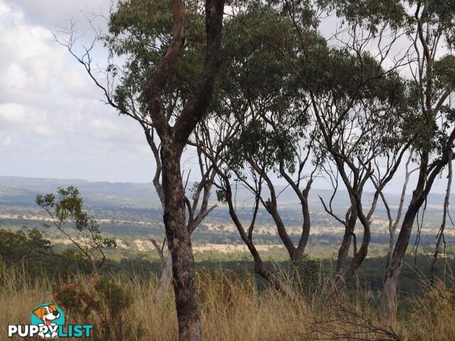 Lot 5 New England Highway WARWICK QLD 4370