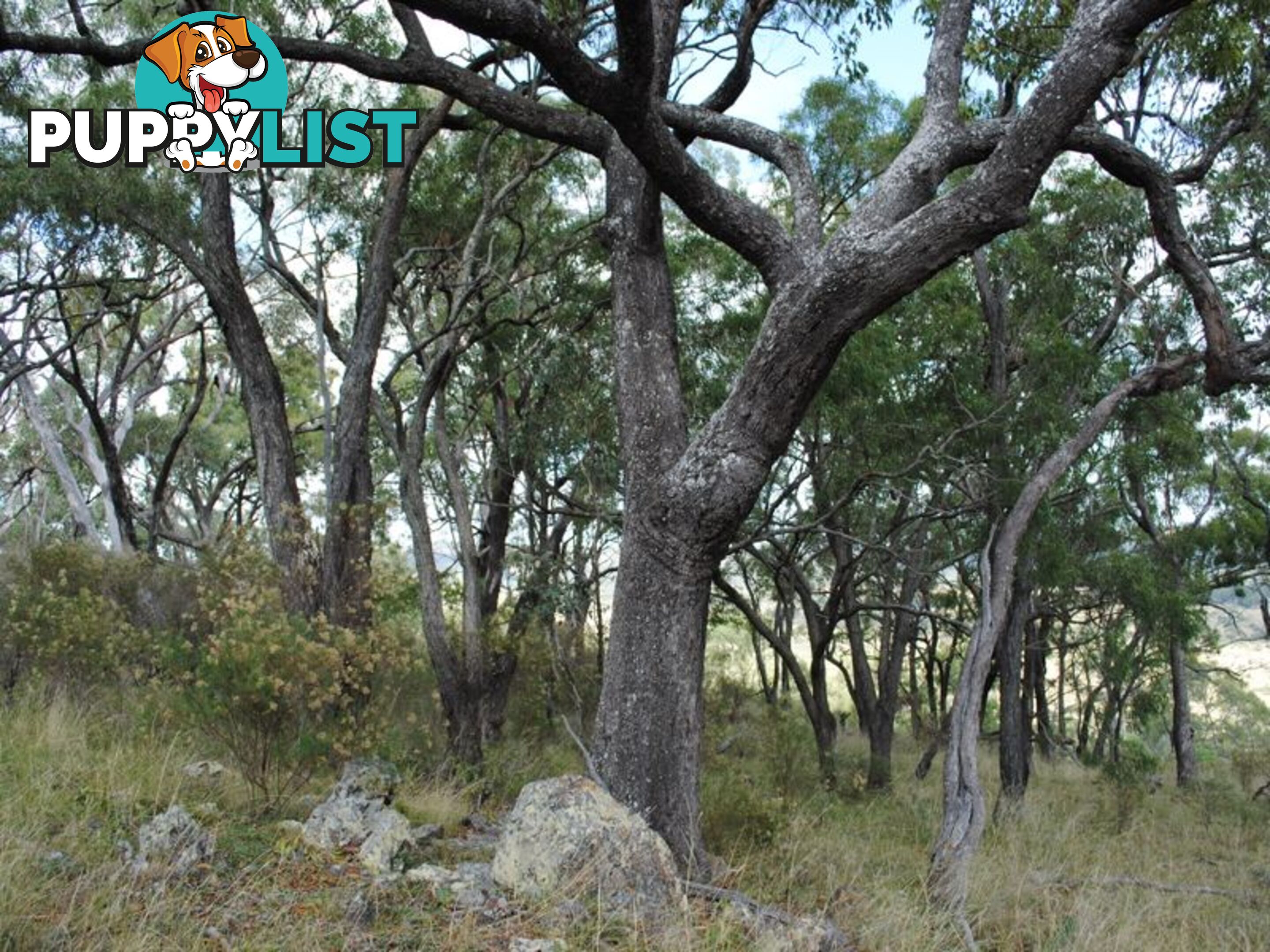 Lot 5 New England Highway WARWICK QLD 4370