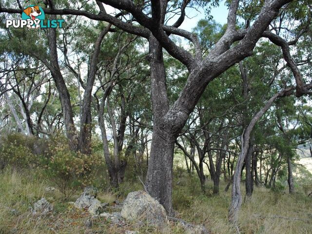 Lot 5 New England Highway WARWICK QLD 4370