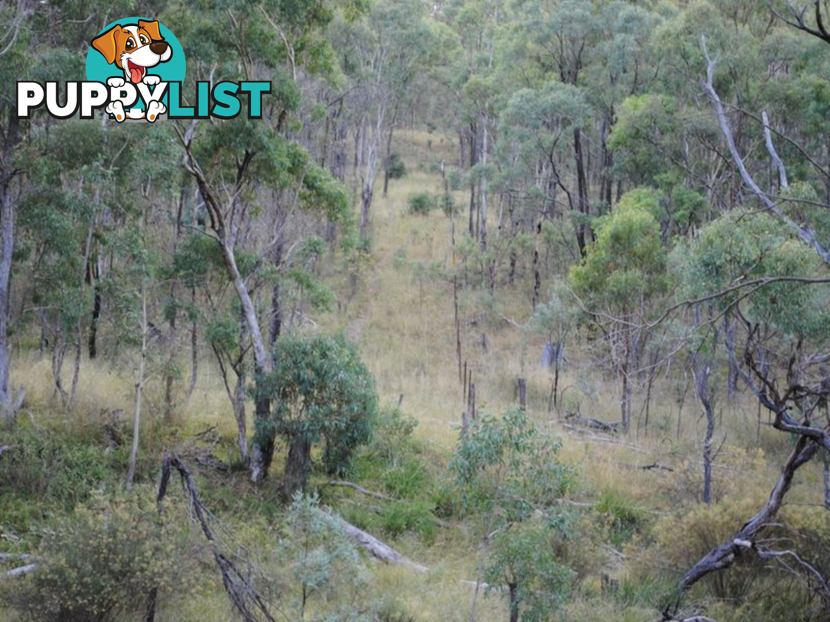 Lot 5 New England Highway WARWICK QLD 4370