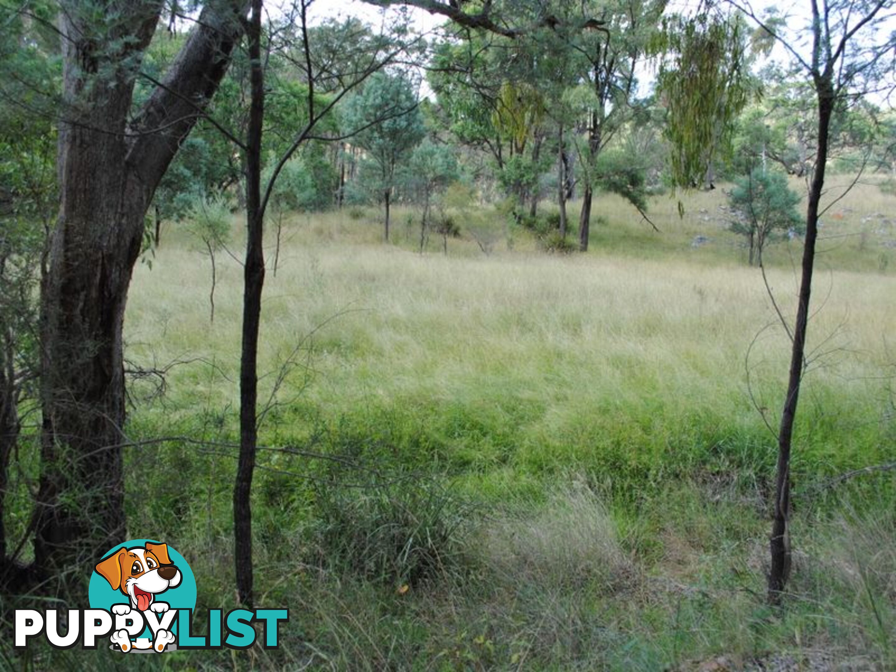 Lot 5 New England Highway WARWICK QLD 4370