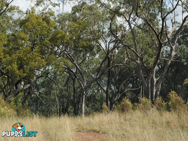 Lot 5 New England Highway WARWICK QLD 4370