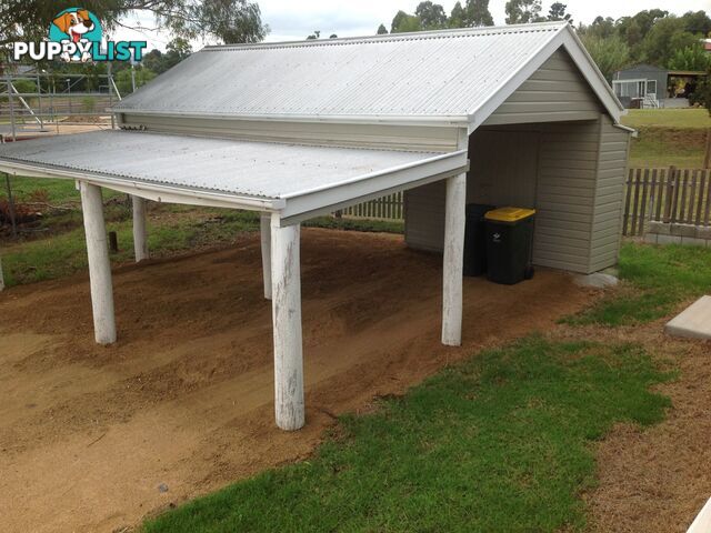 53 Willow Street KILLARNEY QLD 4373