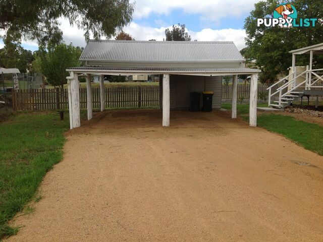 53 Willow Street KILLARNEY QLD 4373