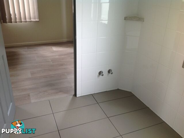 53 Willow Street KILLARNEY QLD 4373