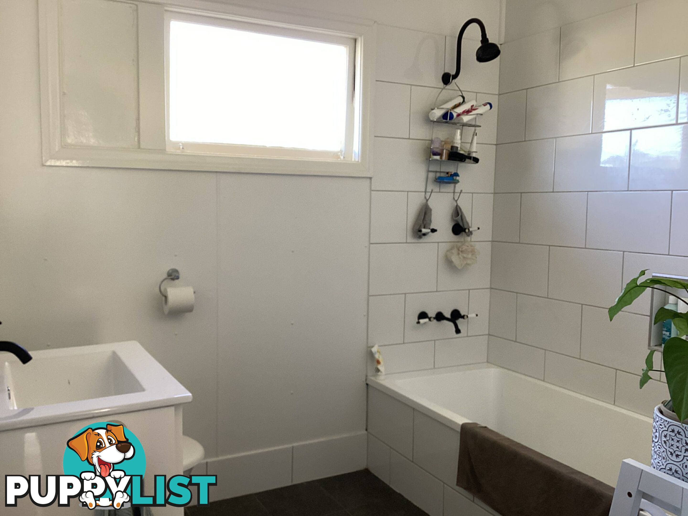 1 Evans Crescent WARWICK QLD 4370