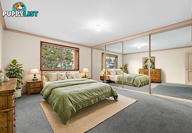 6 Finch Street WARWICK QLD 4370
