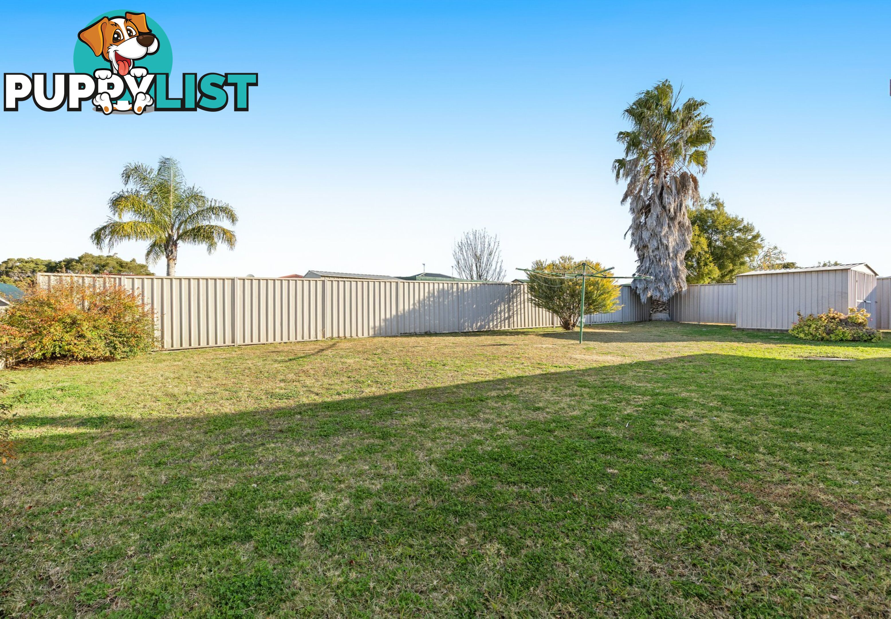 6 Finch Street WARWICK QLD 4370