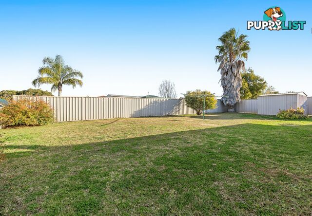 6 Finch Street WARWICK QLD 4370