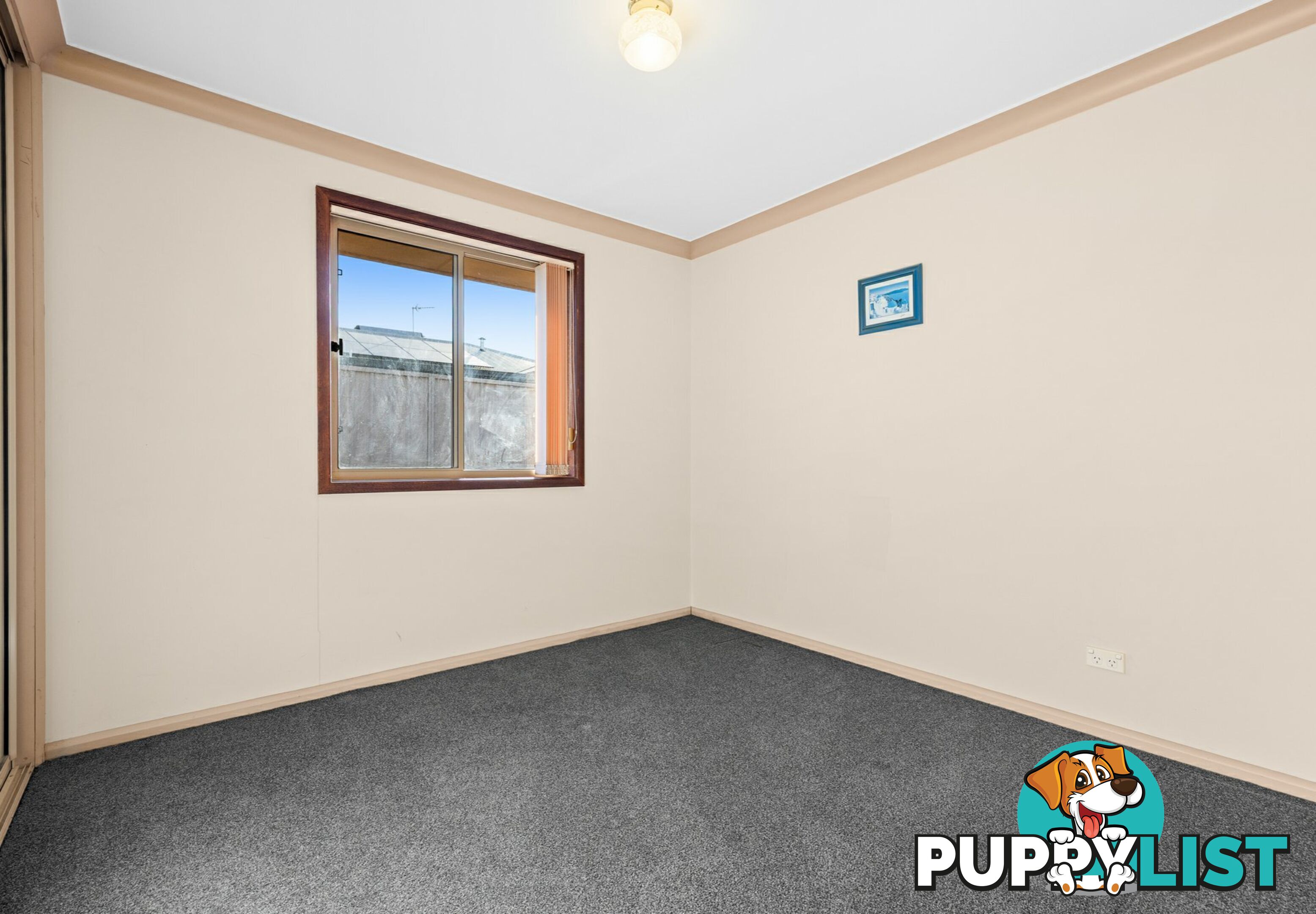 6 Finch Street WARWICK QLD 4370