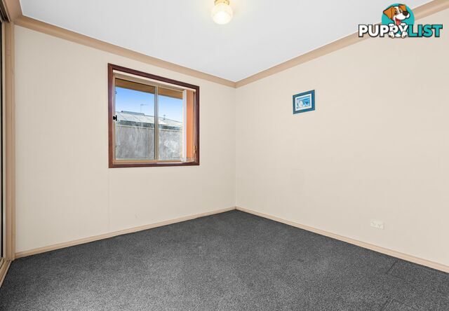 6 Finch Street WARWICK QLD 4370