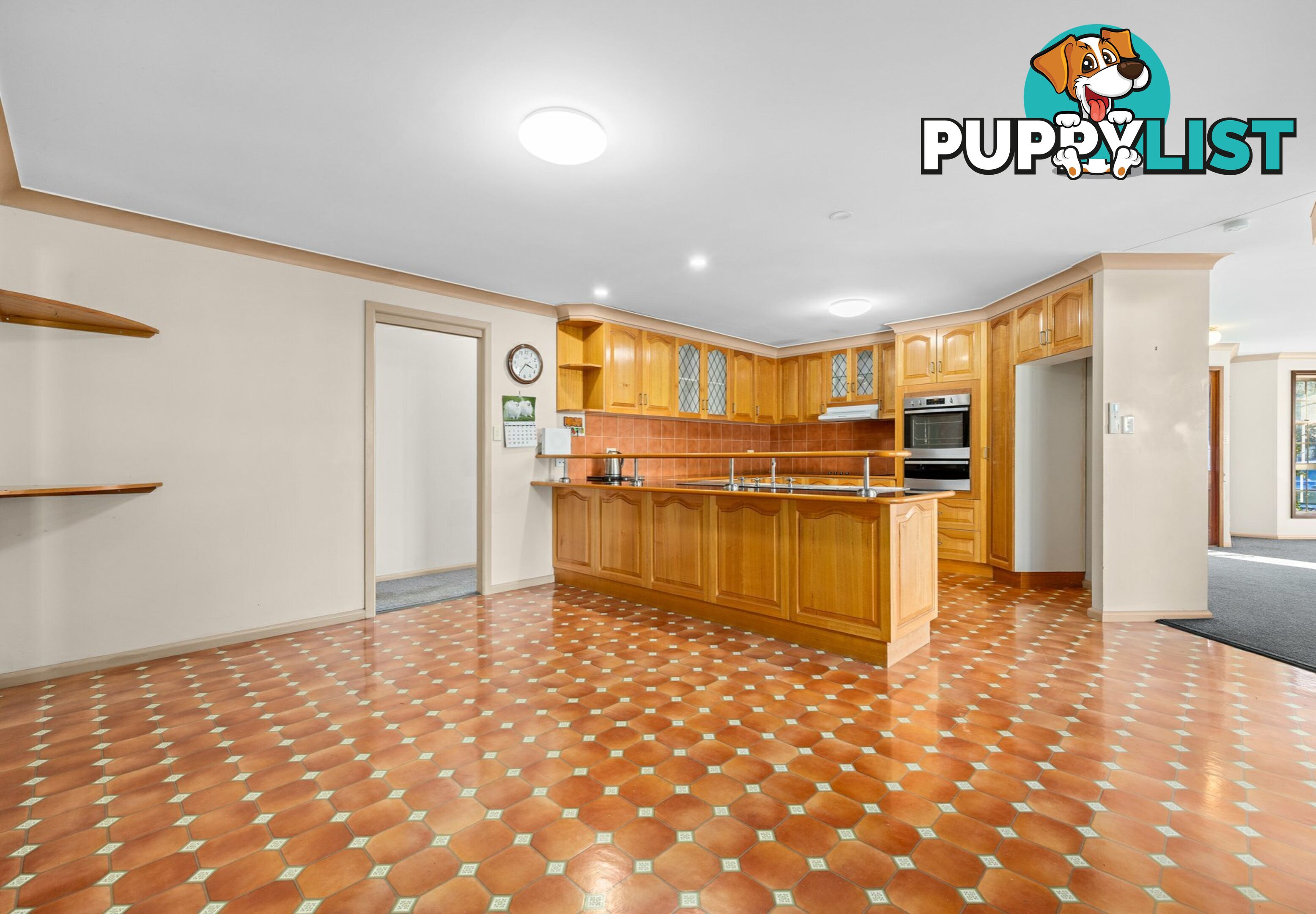 6 Finch Street WARWICK QLD 4370