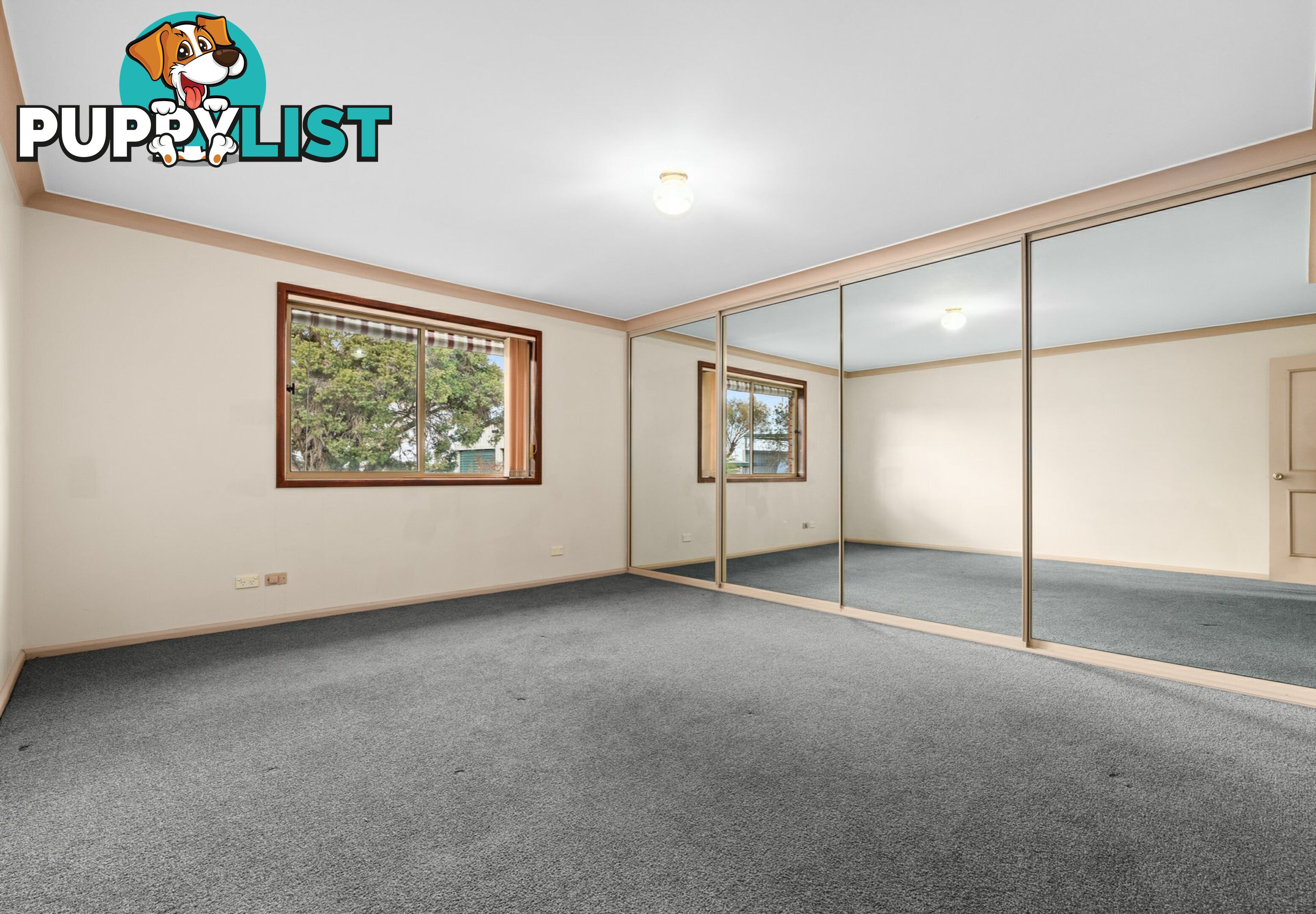 6 Finch Street WARWICK QLD 4370