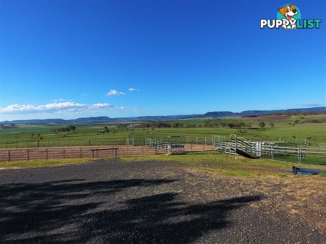 61 Perquin Road SLADEVALE QLD 4370