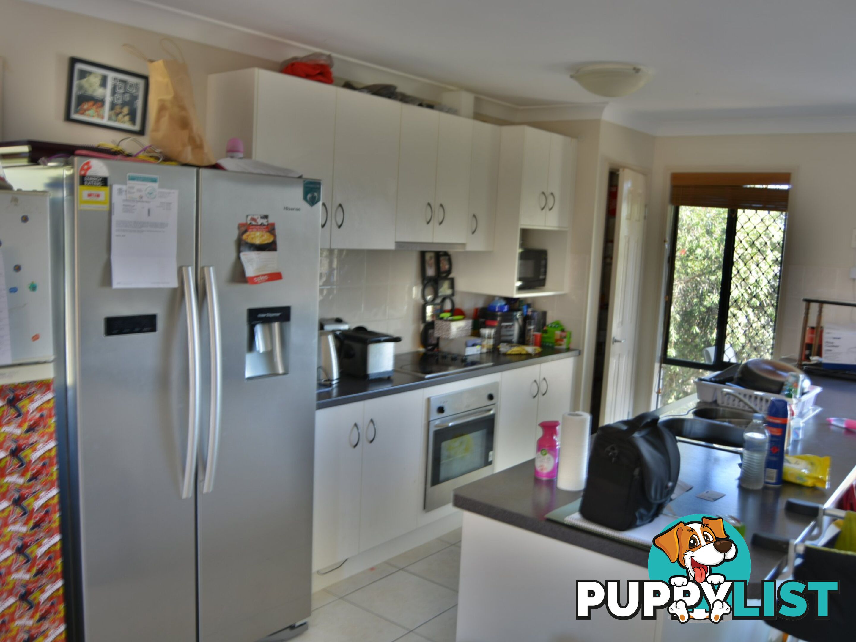 3 Casuarina Close WARWICK QLD 4370