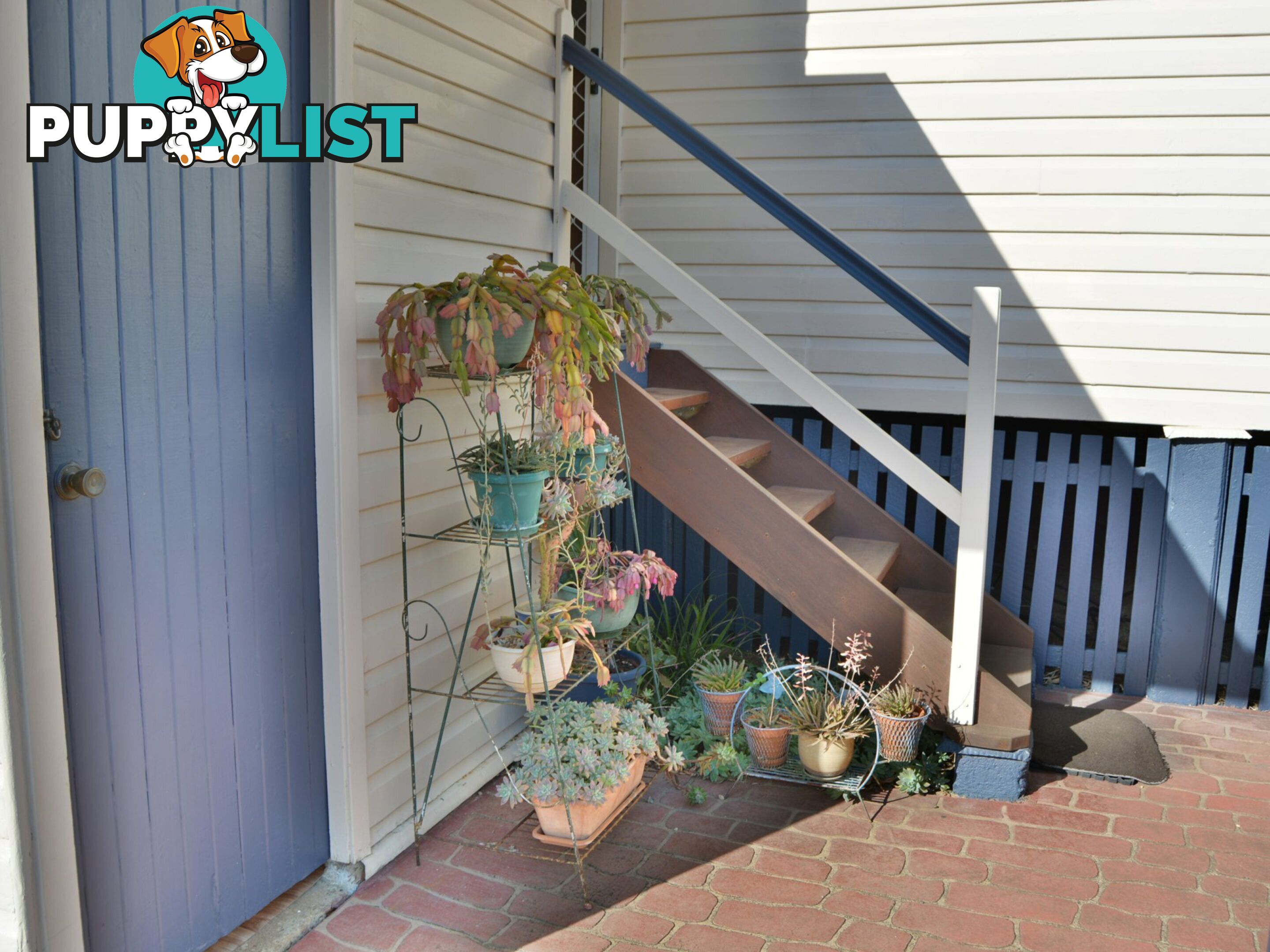 39 Marshall Street WARWICK QLD 4370