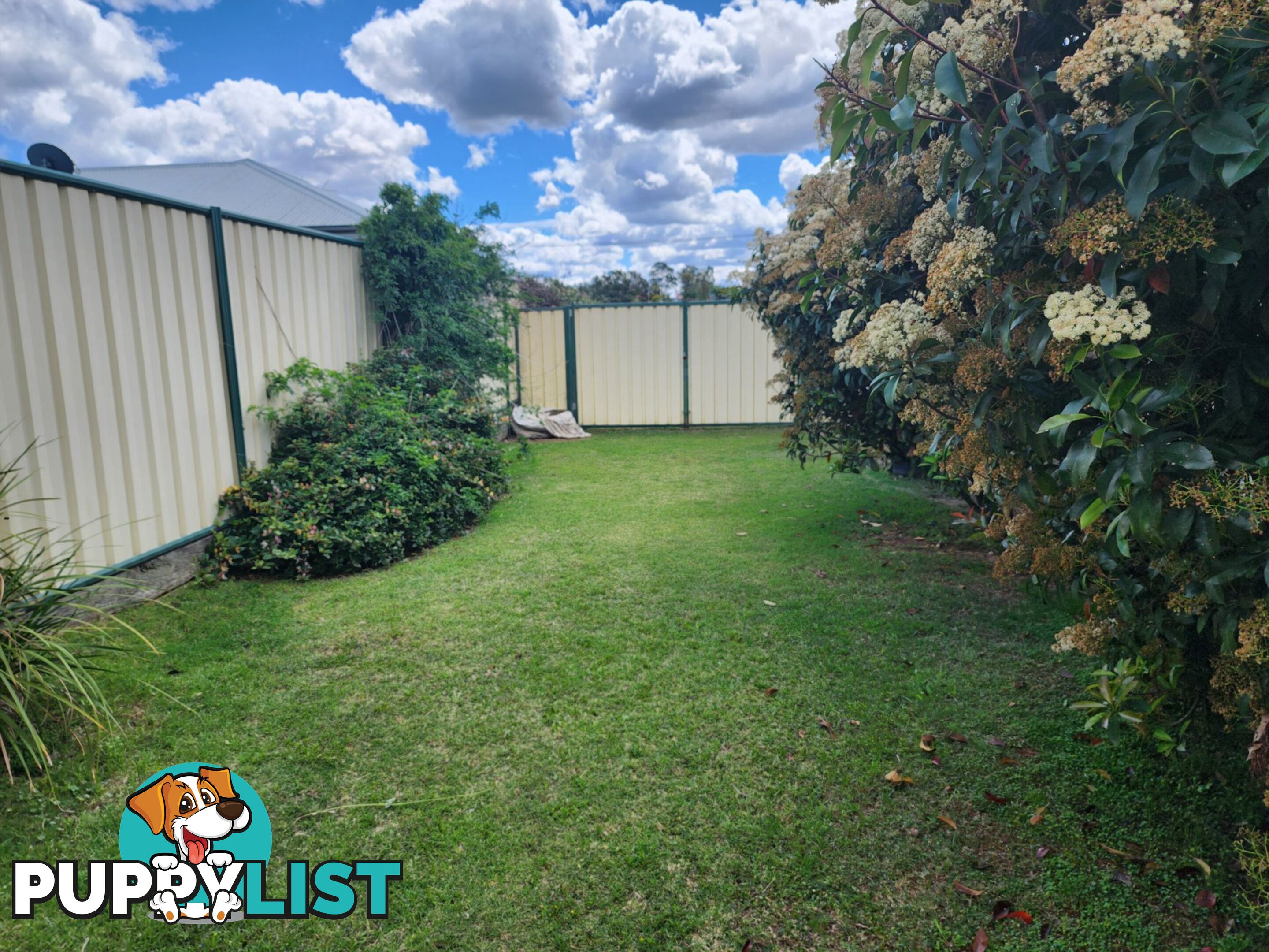 24 Baguley Street WARWICK QLD 4370