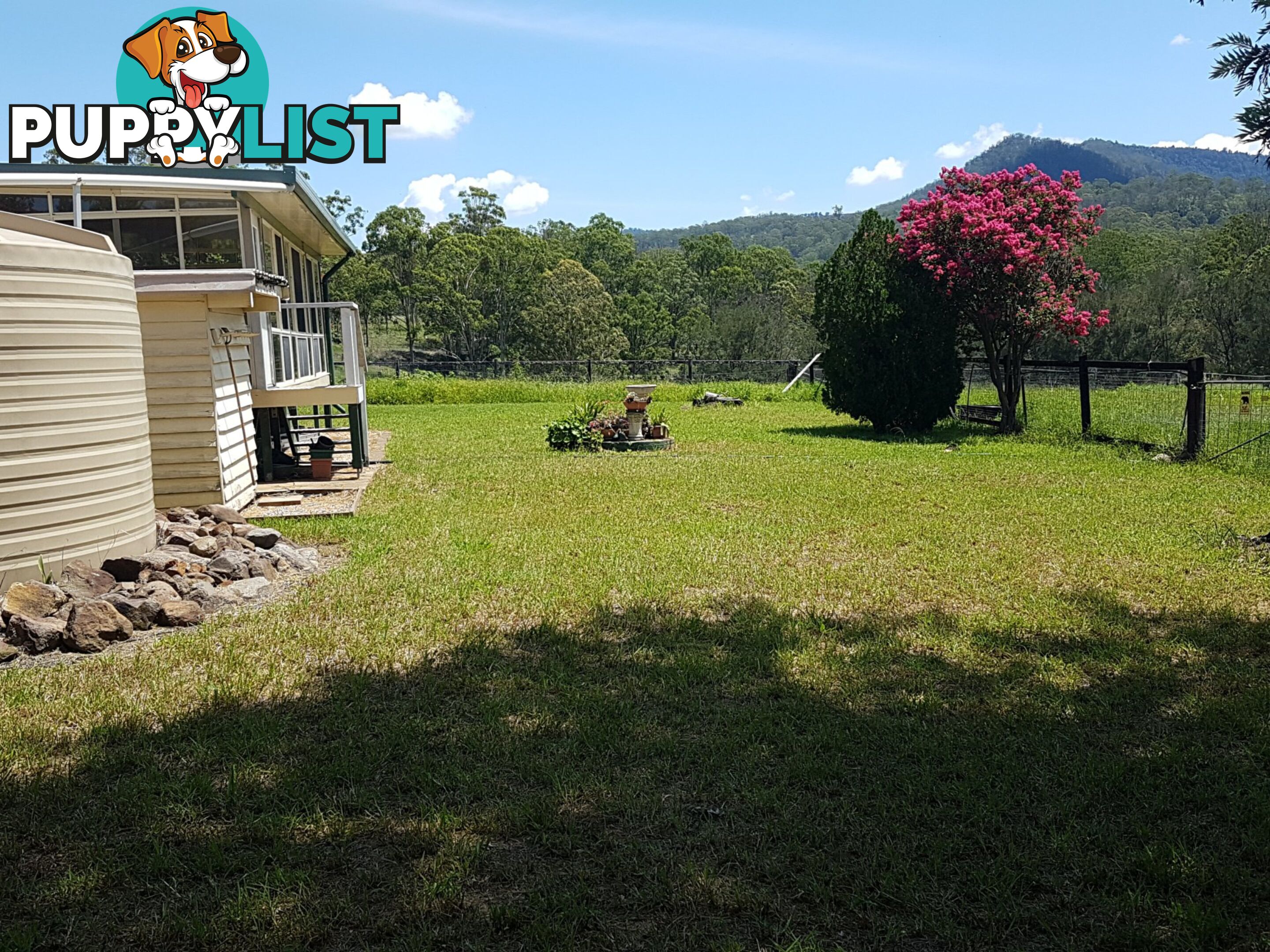 10570 Mount Lindesay Road KILLARNEY QLD 4373