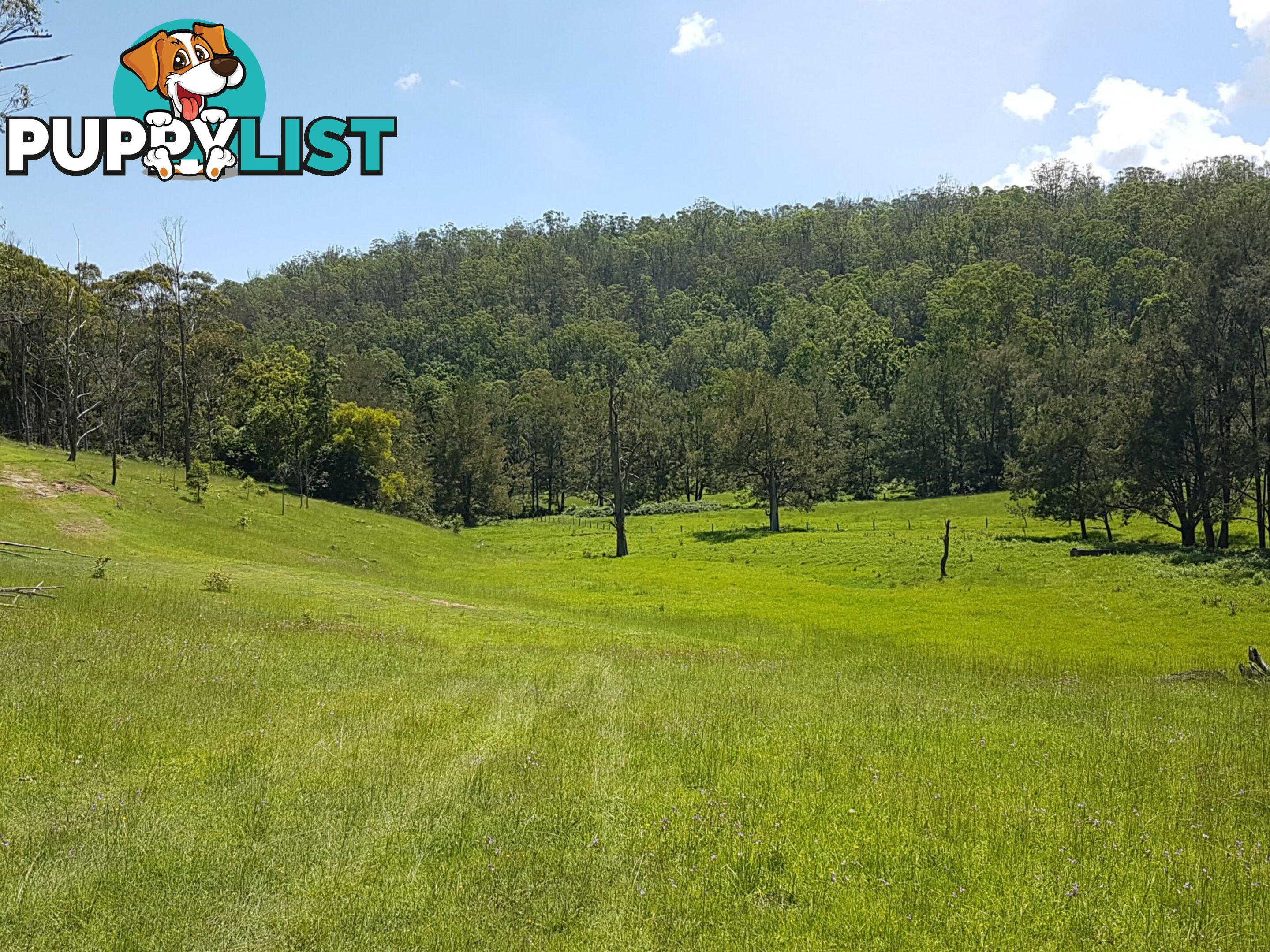 10570 Mount Lindesay Road KILLARNEY QLD 4373