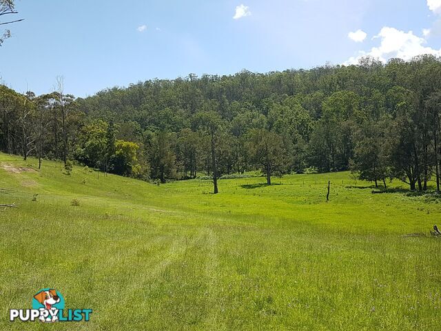 10570 Mount Lindesay Road KILLARNEY QLD 4373