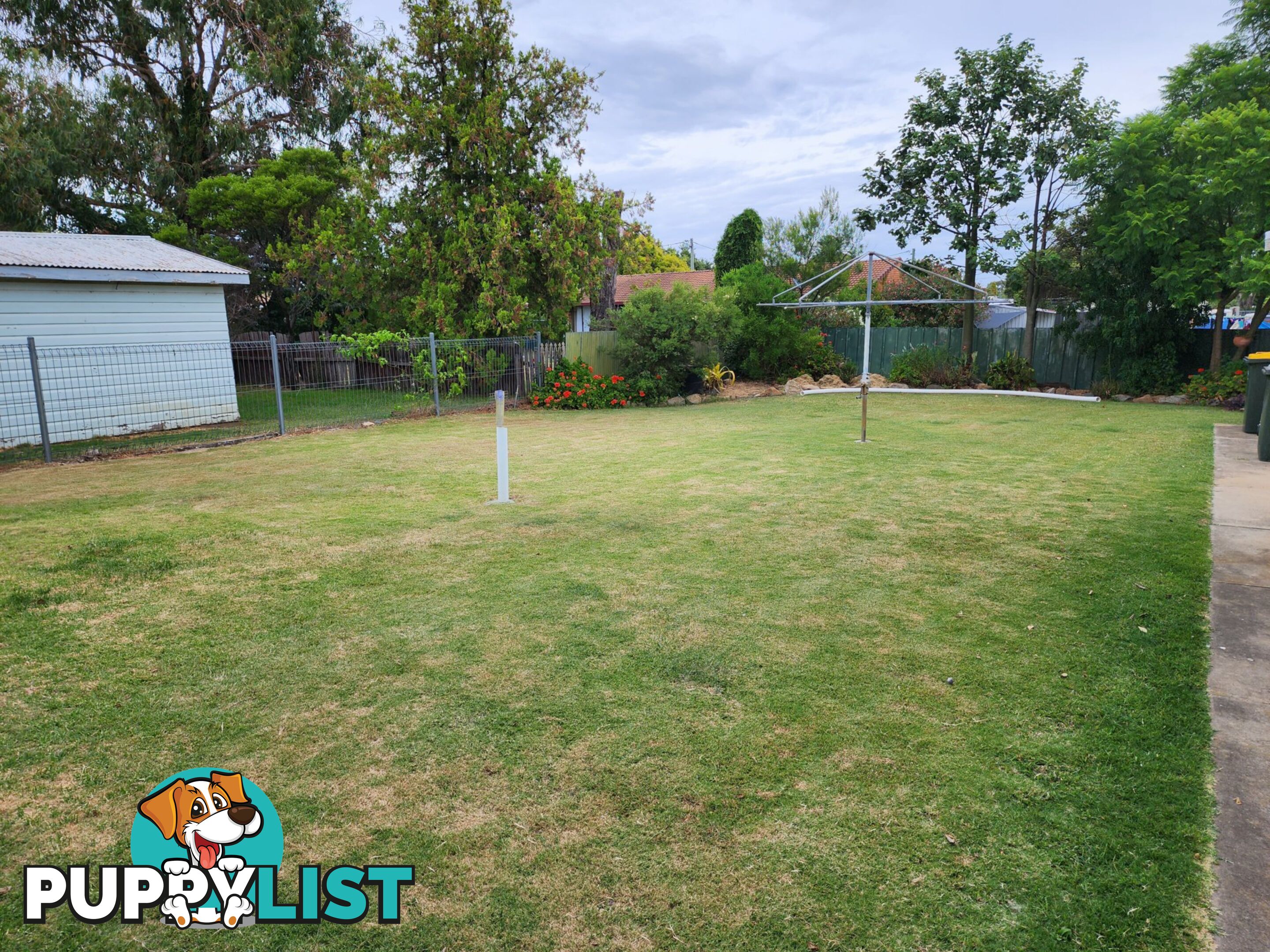 3 Guy Street WARWICK QLD 4370