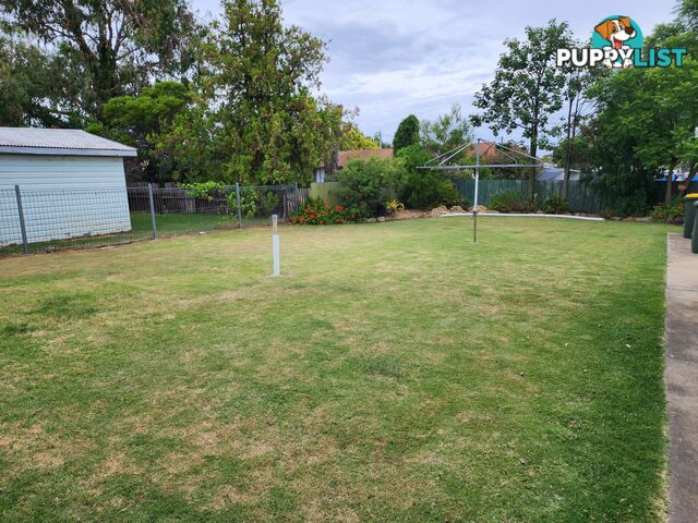 3 Guy Street WARWICK QLD 4370