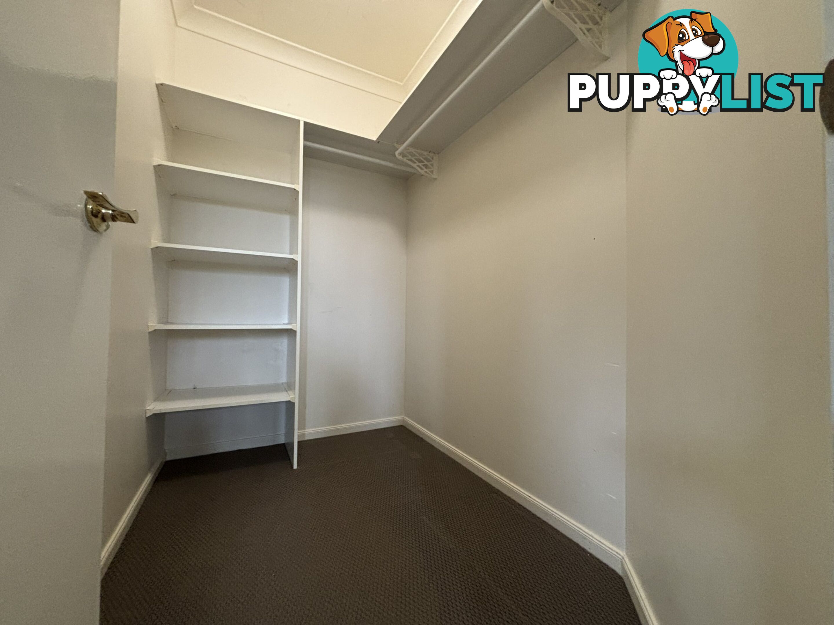 47 Bisley Street WARWICK QLD 4370