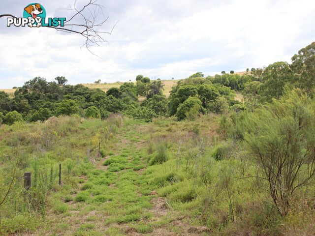 Lots 1, 2 Rettkes Road SWANFELS QLD 4371