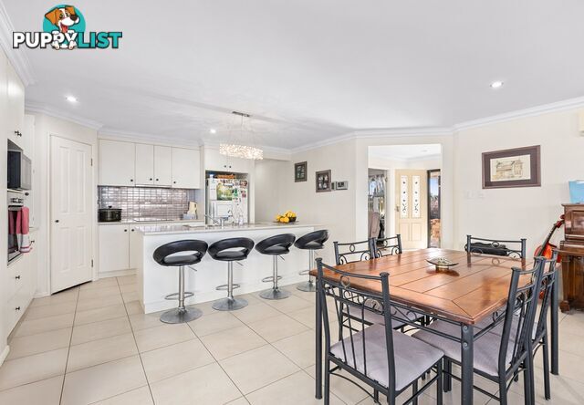 6 Condavale Drive ROSENTHAL HEIGHTS QLD 4370