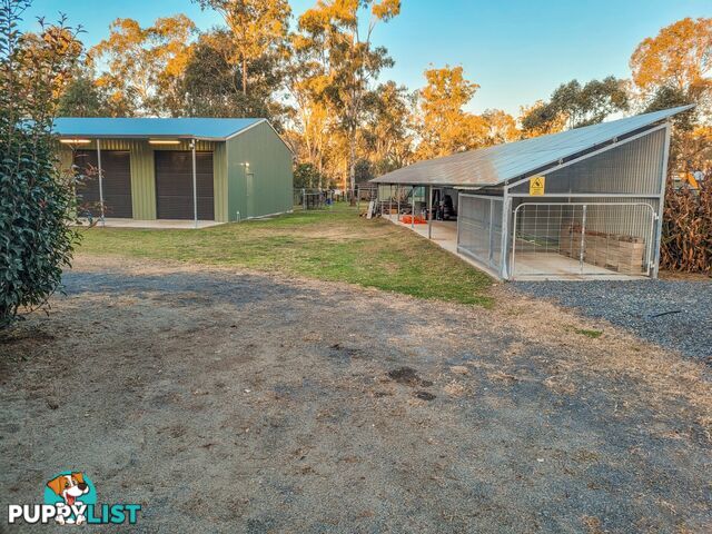 41 Lester Street PRATTEN QLD 4370