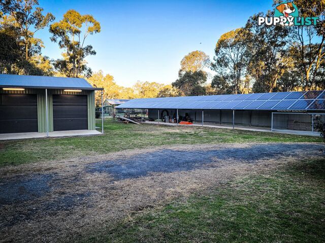 41 Lester Street PRATTEN QLD 4370