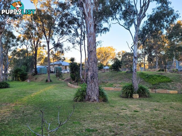 41 Lester Street PRATTEN QLD 4370