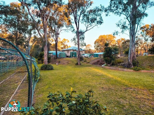 41 Lester Street PRATTEN QLD 4370