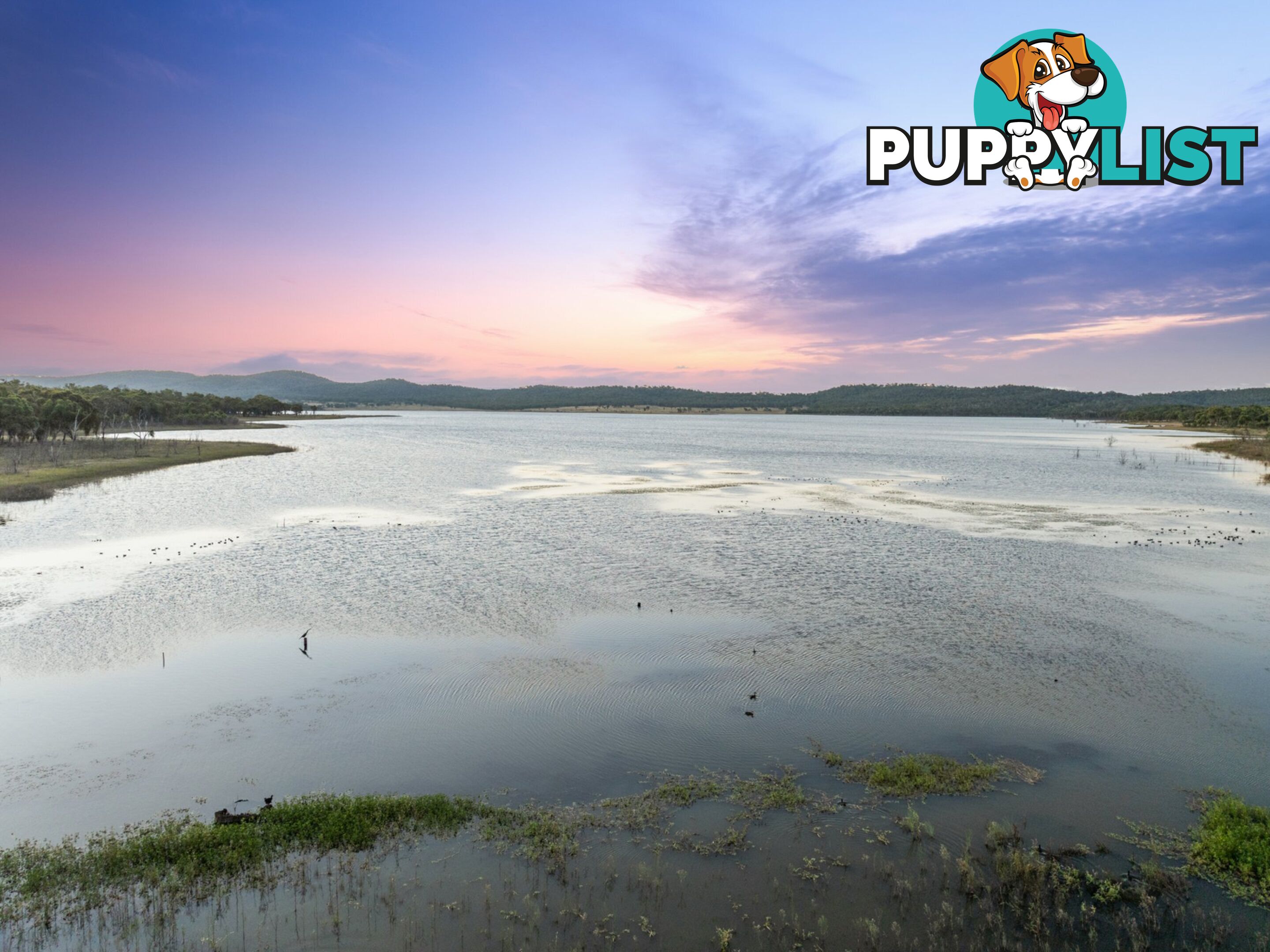 Lot 1 Saddledam Road LESLIE DAM QLD 4370