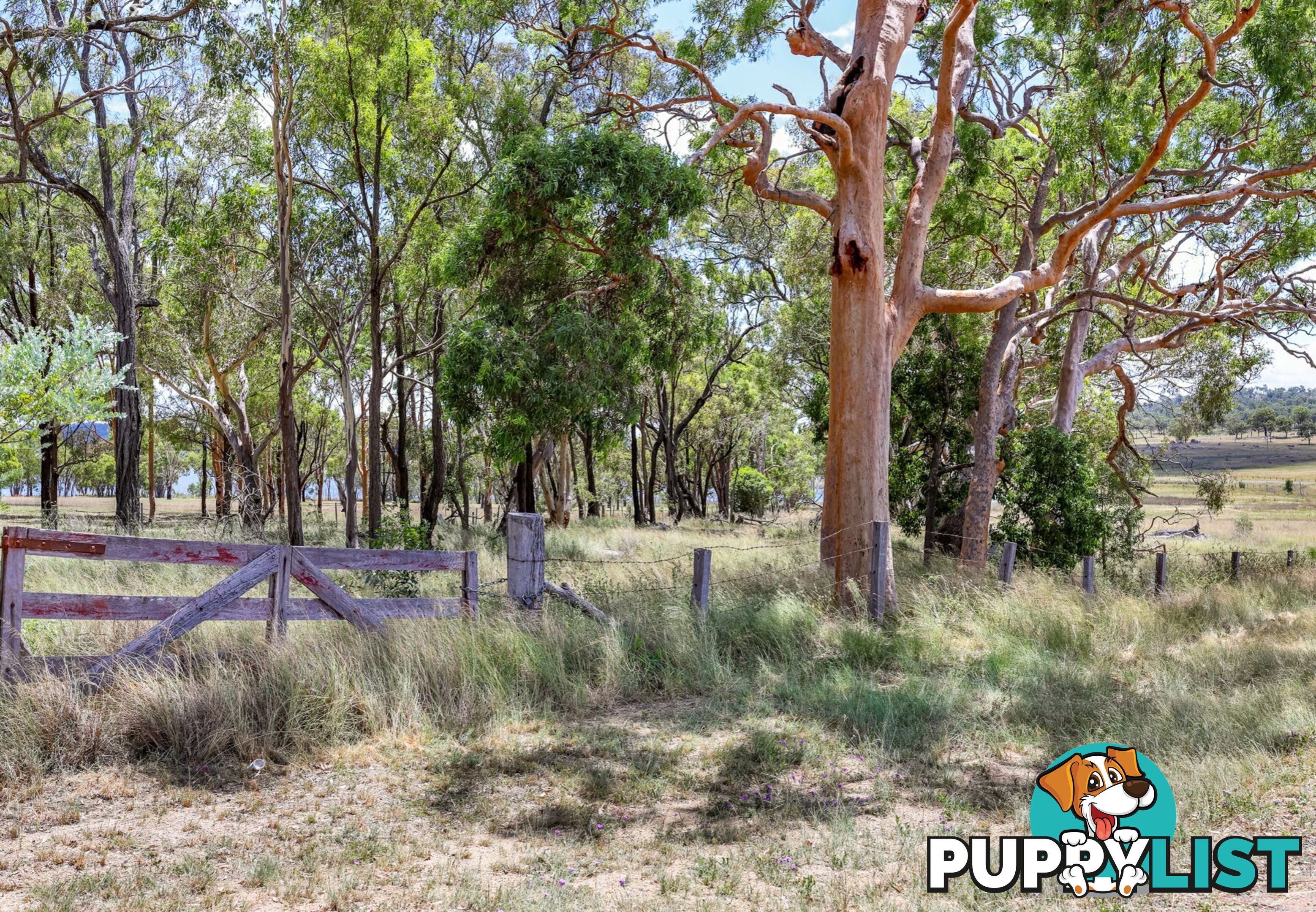 Lot 1 Saddledam Road LESLIE DAM QLD 4370